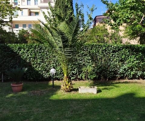 servizi di giardinaggio a roma